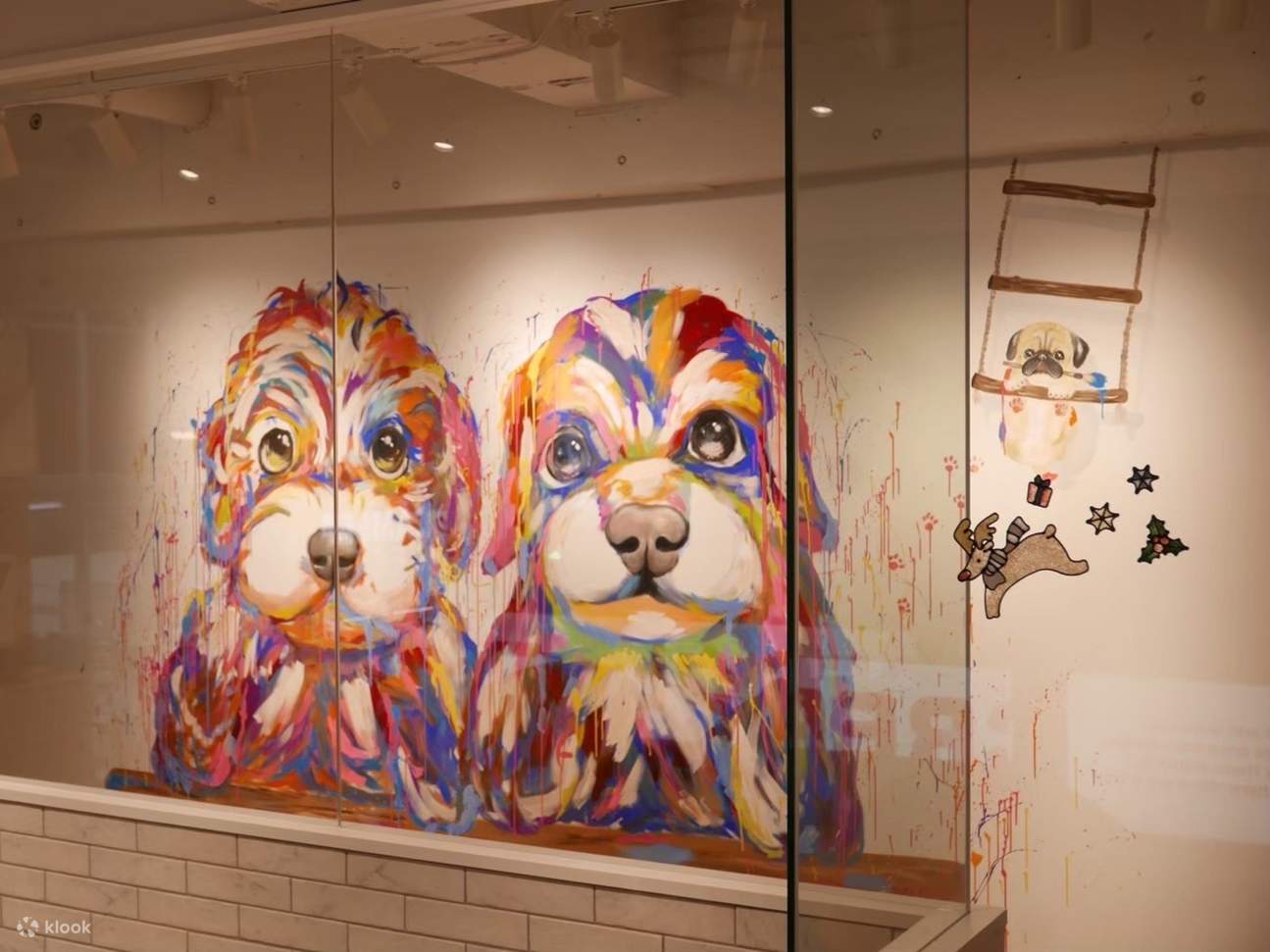 Dog Interaction Experience [Dog Cafe Rio Harajuku] - Klook